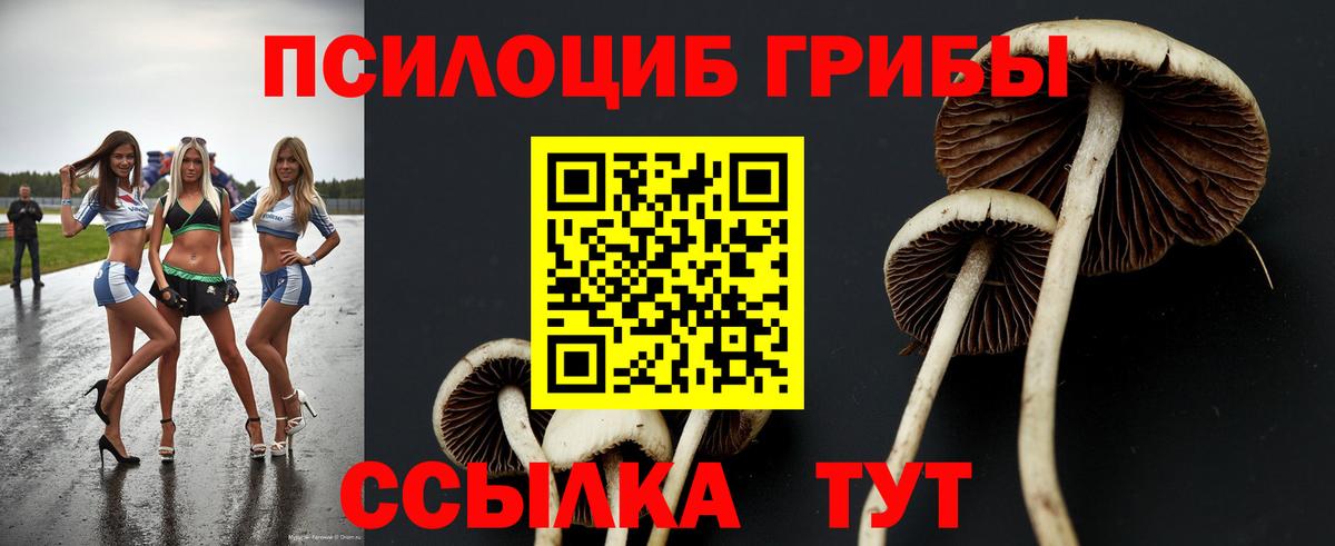 Петрозаводск  Галлюциногенные грибы Magic Shrooms  Псилоцибиновые грибы Psilocybine cubensis  Вход с VPN 
